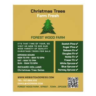 Trendy Fir Tree Design, Christmas Tree Sales Flyer
