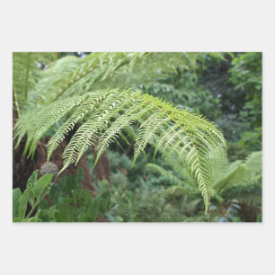 Trendy Fresh Fern Background Set of 3 Wrapping Paper Sheet