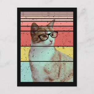 TRENDY FUNNY CUTE CAT VINTAGE   POSTCARD