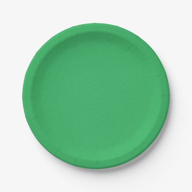 Trendy Green Grainy Background Paper Plate (Front)