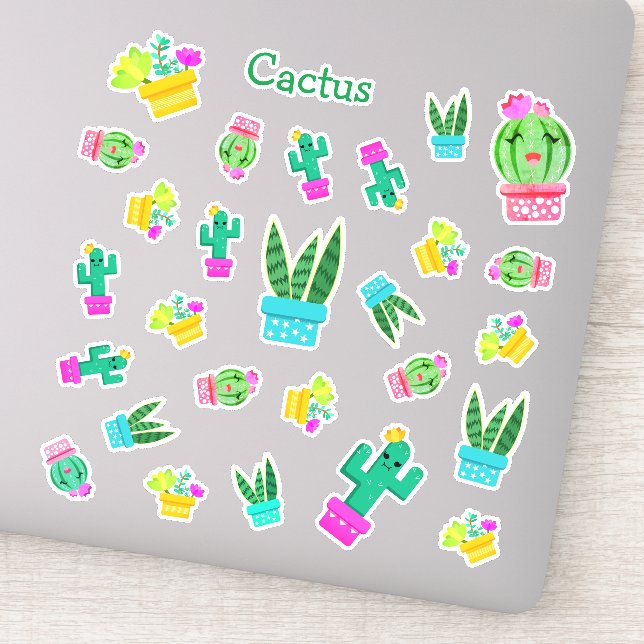 Trendy Kawaii Potted Succulents & Cactus (Detail)