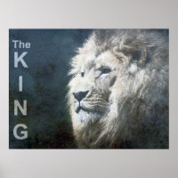 Trendy Lion Template Nature Animal The King Photo