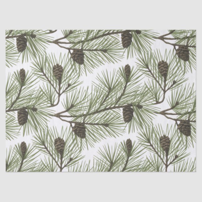 Trendy Merry Christmas Pine Cones and Branches     Tissue Paper (Front)
