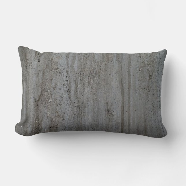 Trendy Modern Creation Grey Wall Abstract Lumbar Cushion (Front)