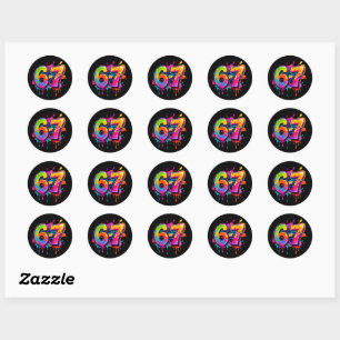 Trendy Modern Teen Meme 6-7 67 Stickers