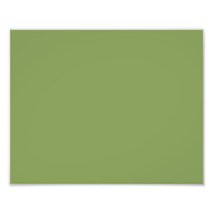 Trendy Moss Green Background Colour Customise this Photo Print