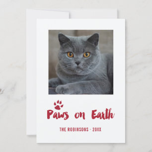 Trendy Pet Christmas Photo Holiday Card