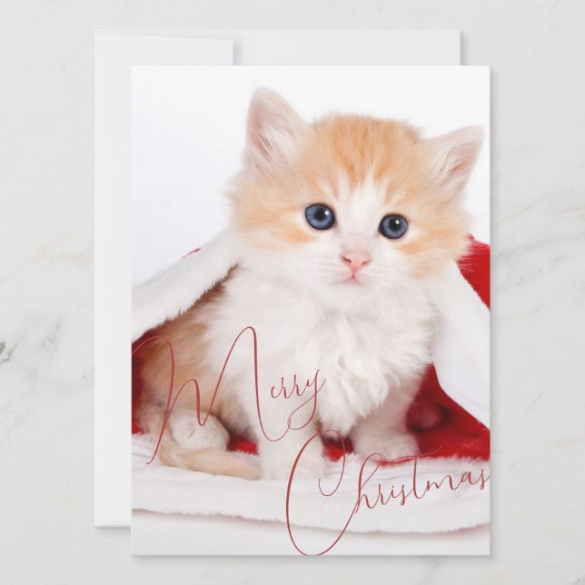 Trendy Pet Lovers Merry Christmas Holiday Card (Front)