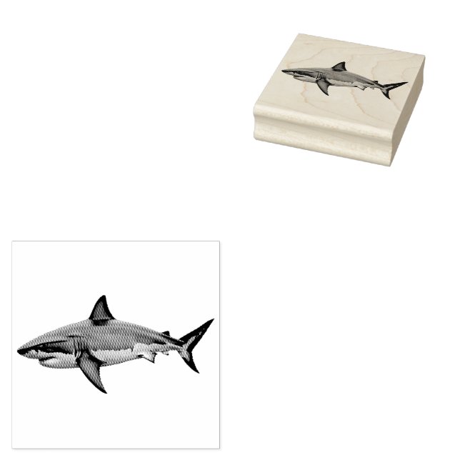 Trendy Shark  Rubber Stamp (Stamped)