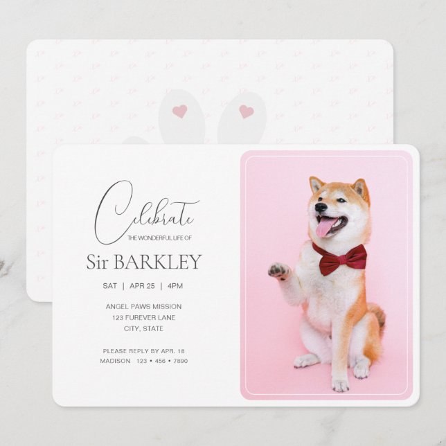 Trendy & Simple Pet Memorial Photo Invitation (Front/Back)
