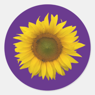 Trendy Sunflower Cute Floral Purple Classic Round Sticker