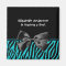 Trendy Teal And Black Zebra Print Boy Baby Shower