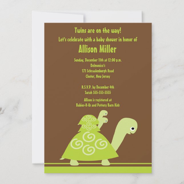 Trendy Twins Turtle Baby Shower Invitation (Front)