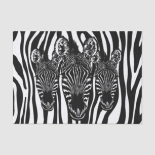 Trendy Zebra Herd Tissue Paper