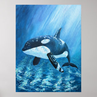 Trent Orca Killer Whale Print ALL SIZES