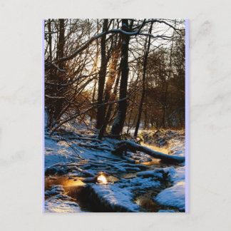 Treppenbach Postcard