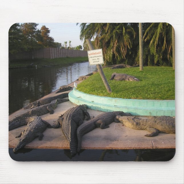 Trespassers Will Be Eaten! Mouse Pad (Front)