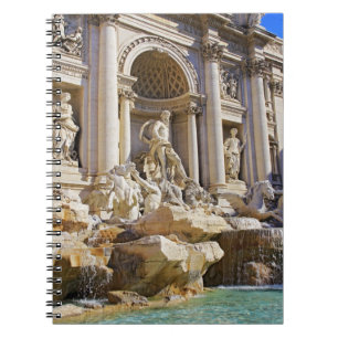 Trevi Fountain Rome Photography Notebook