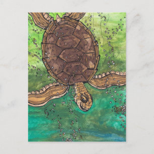 Trevor the Turtle Postcard