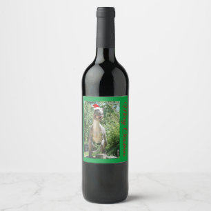 TREX Dinosaur Wearing a Santa Claus Hat for Christ Wine Label