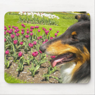 Tri Collie N the Tulips Mouse Pad