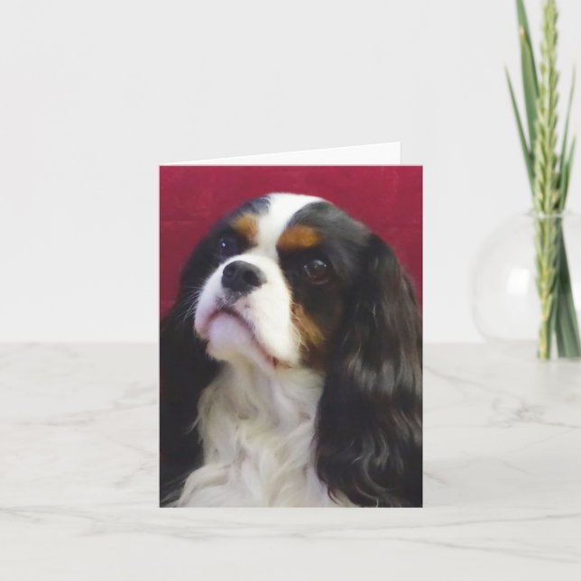 Tri-Color Cavalier King Charles Blank Note Card (Front)