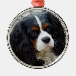 Tri Color Cavalier King Charles Spaniel Ceramic Or Metal Tree Decoration