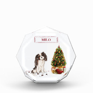 Tri-Color King Charles Spaniel Funny Christmas Dog Photo Block