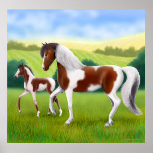 Tri Colored Paint Horse and Foal Poster