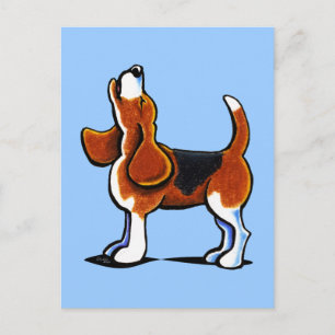 Tri-colour Beagle Bay Postcard