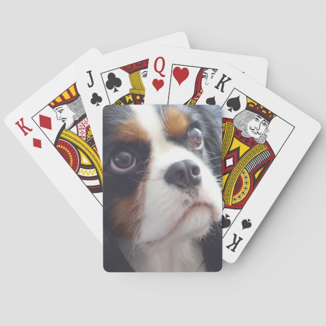 Tri-Colour Cavalier King Charles Playing Cards (Back)