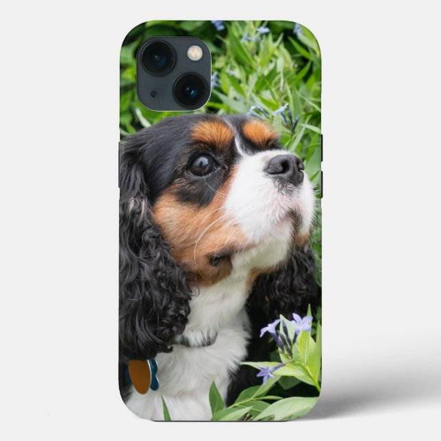 Tri Colour Cavalier King Charles Spaniel Dog Case-Mate iPhone Case (Back)