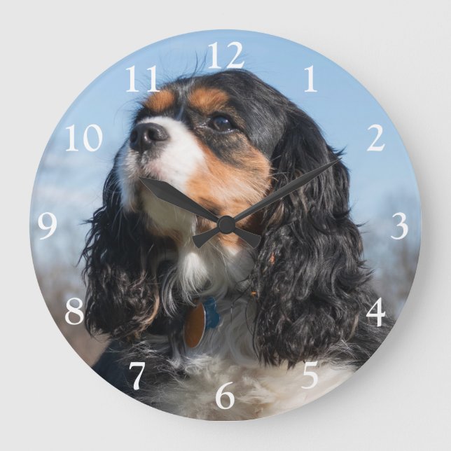 Tri Colour Cavalier King Charles Spaniel Dog Large Large Clock (Front)