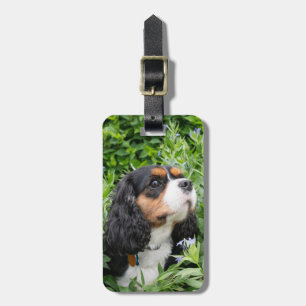 Tri Colour Cavalier King Charles Spaniel Dog Luggage Tag