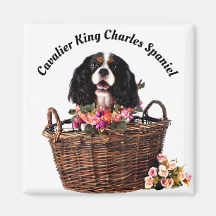 Tri Colour Cavalier King Charles Spaniel Dog Magnet