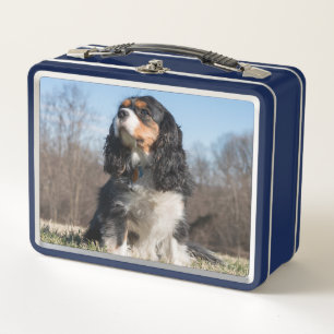 Tri Colour Cavalier King Charles Spaniel Metal Lunch Box