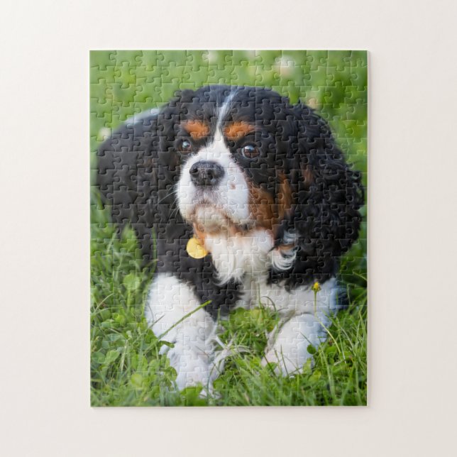 Tri Colour Cavalier King Charles Spaniel Puppy Dog Jigsaw Puzzle (Vertical)