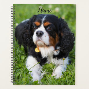 Tri Colour Cavalier King Charles Spaniel Puppy Dog Planner