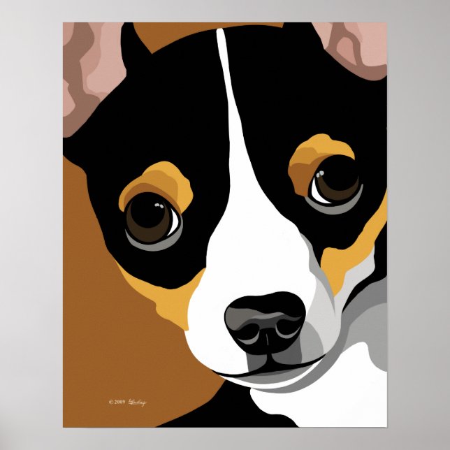 Tri Colour chihuahua Poster (Front)