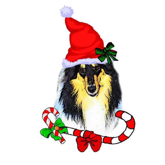Tri Colour Collie Christmas Gifts Photo Sculpture Decoration (Front)