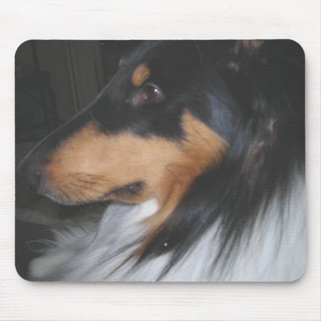 Tri-colour Collie in deep thought Mouse Mat (Front)