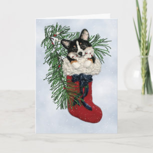 Tri-Colour Corgi in Christmas Stocking Card