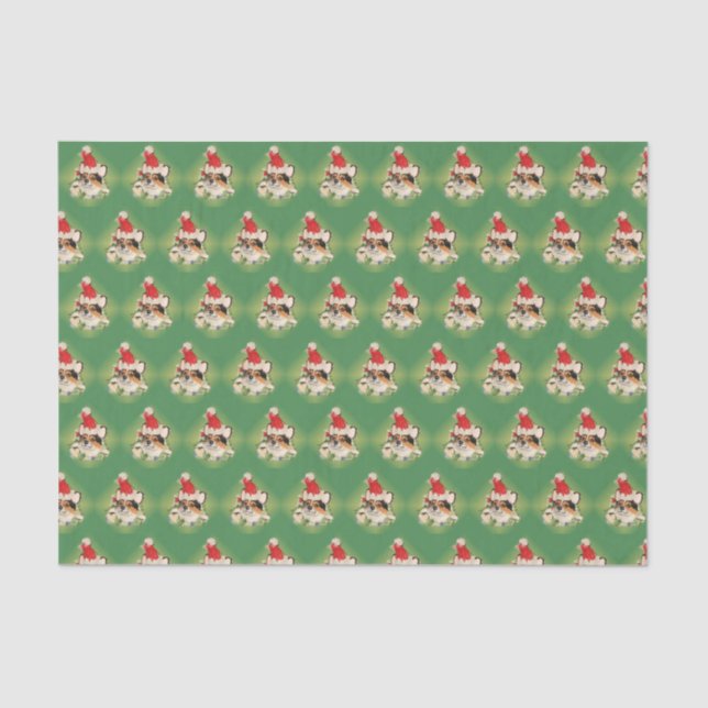 Tri-Colour Corgi Santa Tissue Paper (Front)