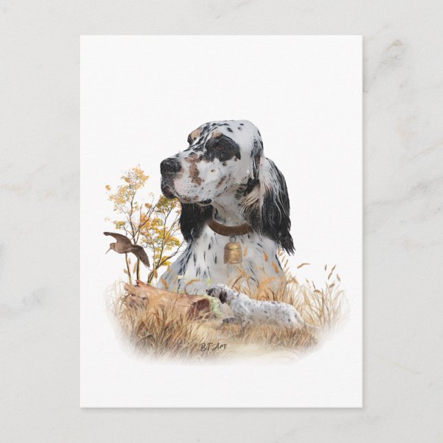 Tri Colour English Setter Art, woodcock Hunting Holiday Postcard (Front)