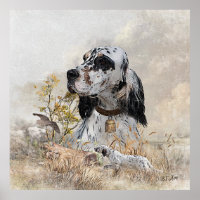 Tri Colour English Setter Art, woodcock Hunting