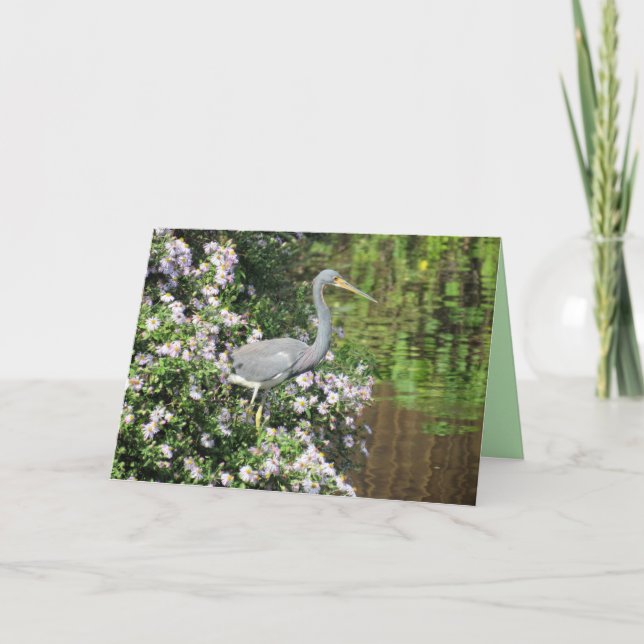 Tri-Colour Heron, Wild Flowers, & reflections Card (Front)