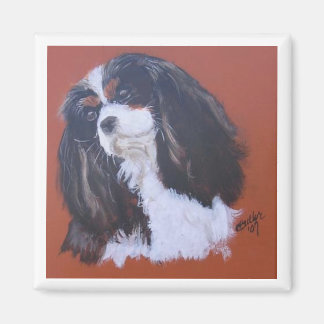 Tri-colour King Charles Cavalier Magnet
