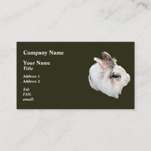 Tri-Colour Lionhead Rabbit Business Card