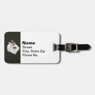 Tri-Colour Lionhead Rabbit Luggage Tag