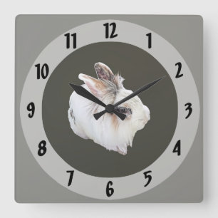 Tri-Colour Lionhead Rabbit Square Wall Clock